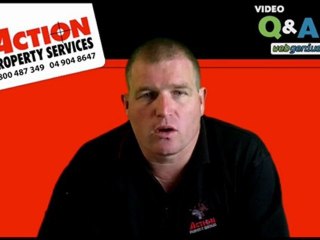 Fly control Wellington Kapiti - Get rid of flies, Control f
