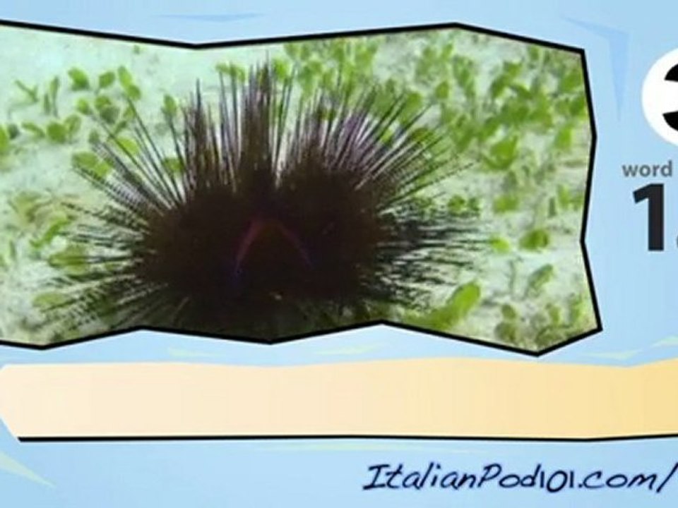 learn Italian-Learn with Italian marine life 2 video