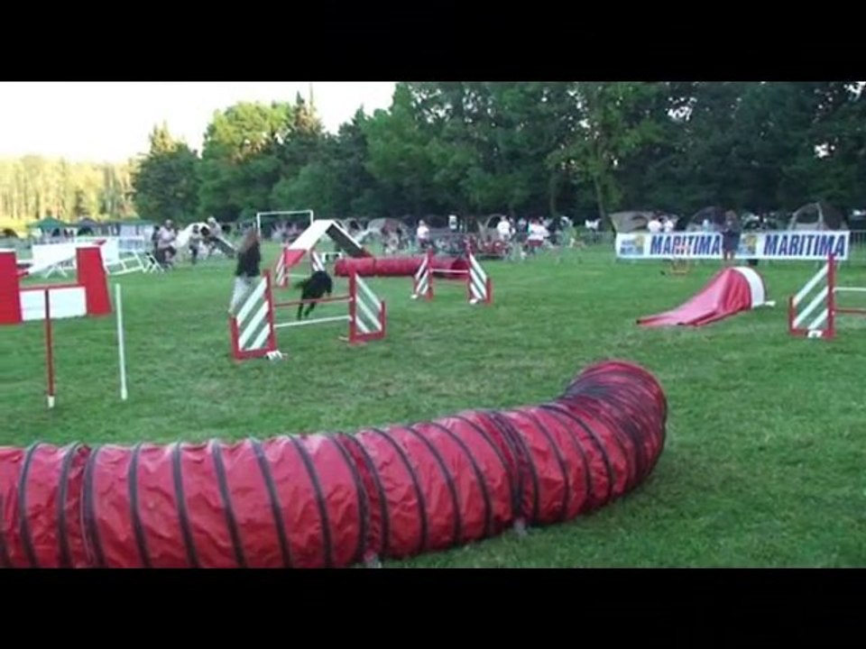 montage séléctif 2010 turbo diesel