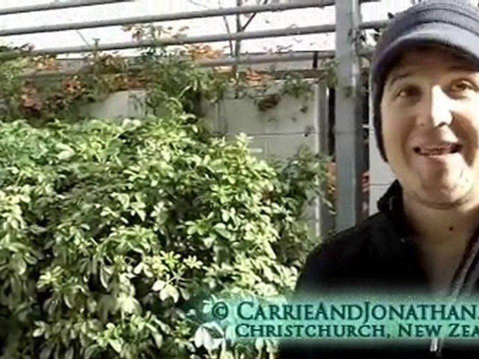 Accommodation Christchurch: Christchurch, New Zealand ...