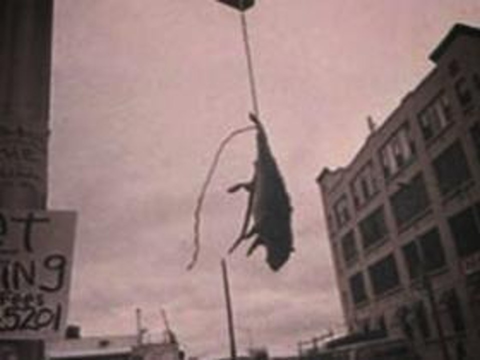 LIVRE "MÉMOIRES DES TÉNÈBRES" DE JERRY STAHL