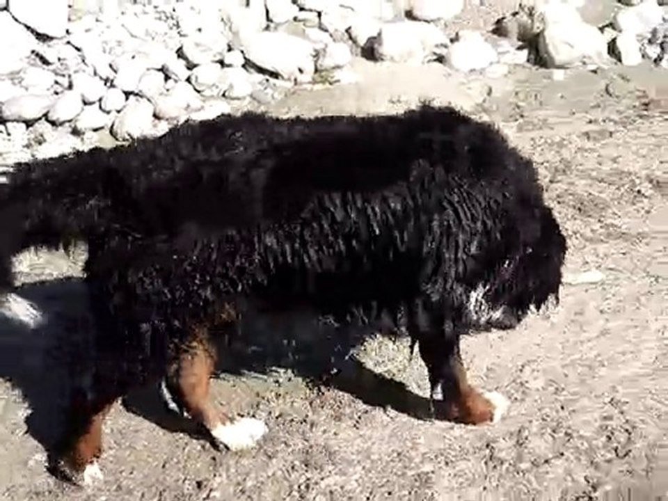 Anakin et  Délys a la rivière 2
