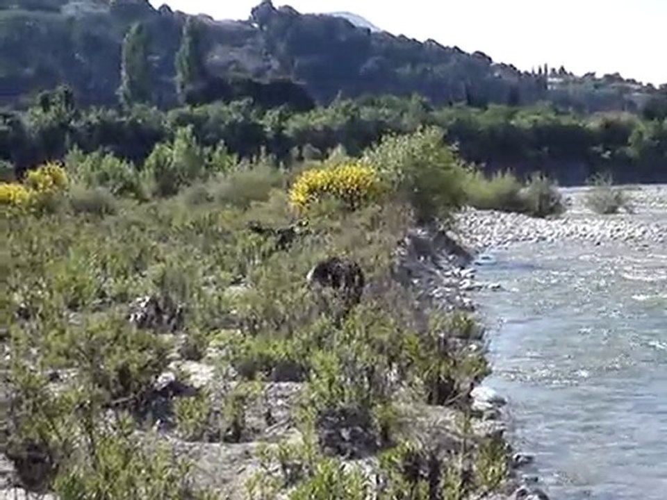 Anakin et  Délys a la rivière 5