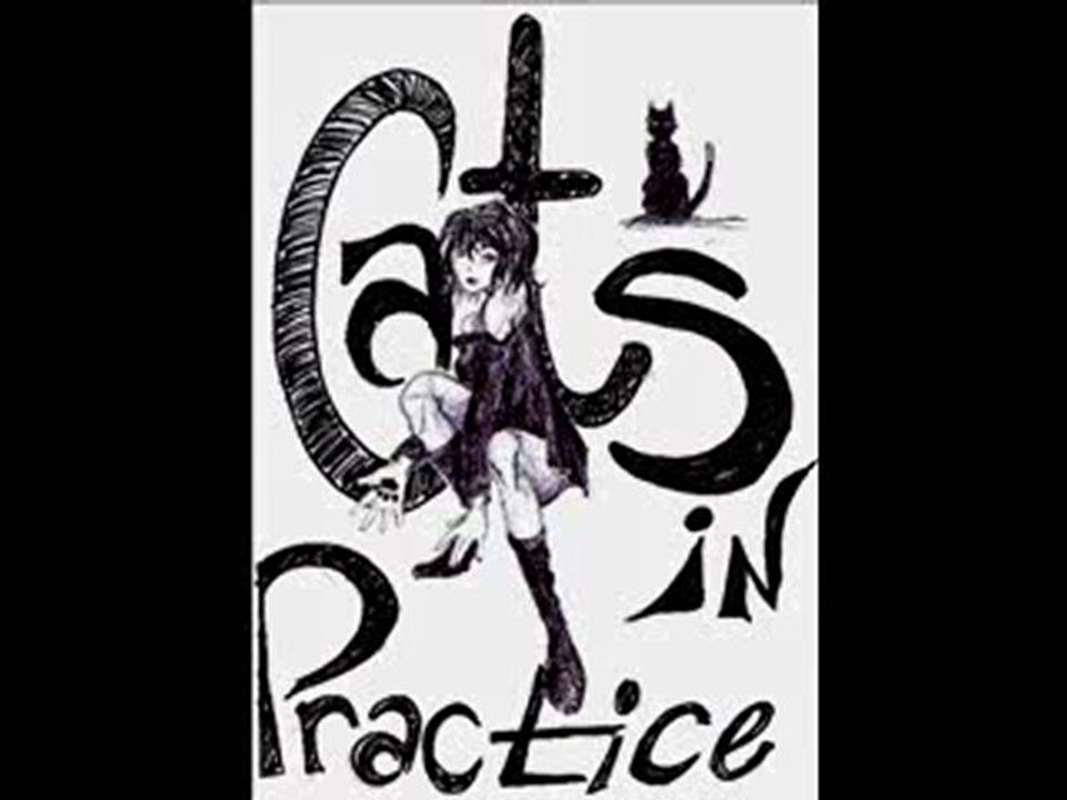Cats In Practice - Failure
