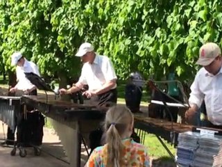 Музыканты в Петергофе