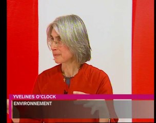 Yvelines o'clock du 9 février 2010