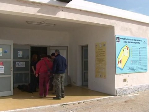 Italian island a heaven for donkeys