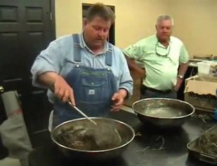 Hey! Hay Can Soak Up Oil Spills!