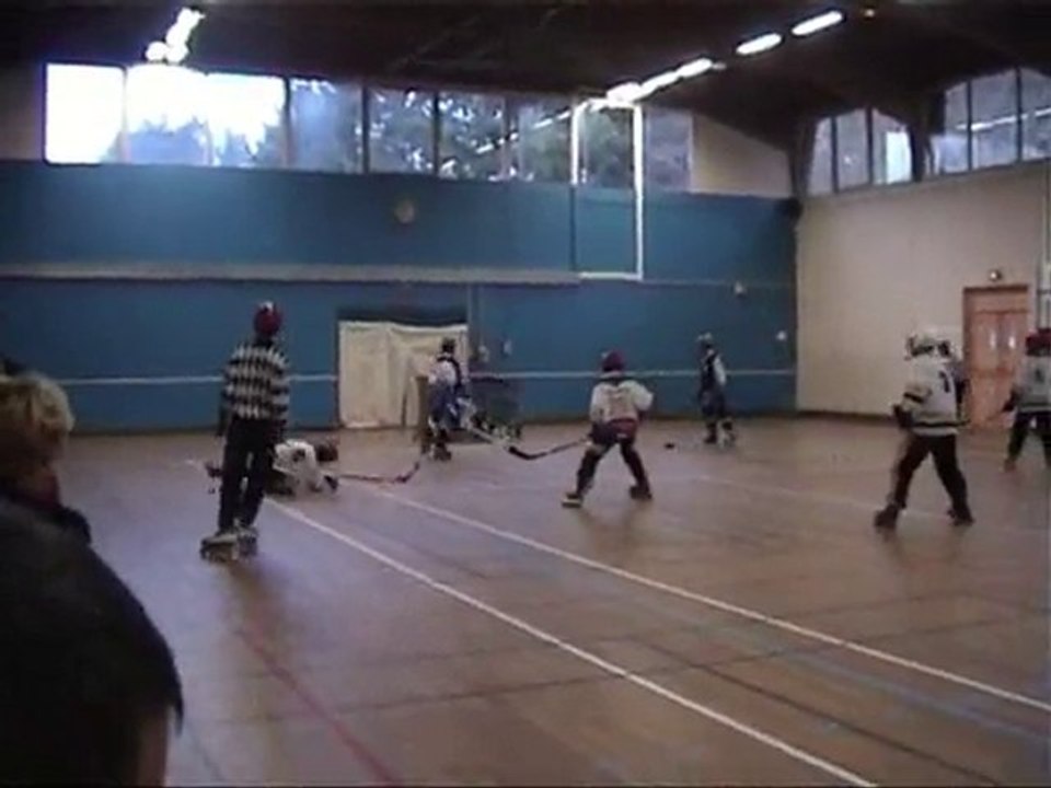 abeilles vs dauphins
