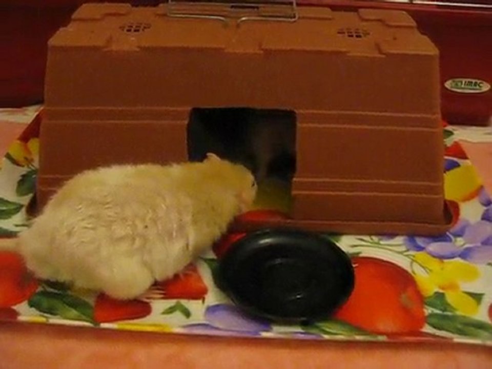 Rencontre de Képhren et Zelda