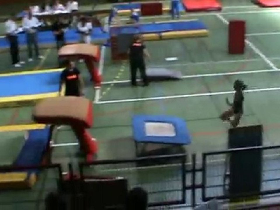 Saut Farah