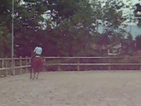 Reprise de dressage CCE club2,club 3 juliette