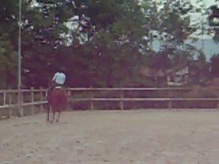 Reprise de dressage CCE club2,club 3  juliette