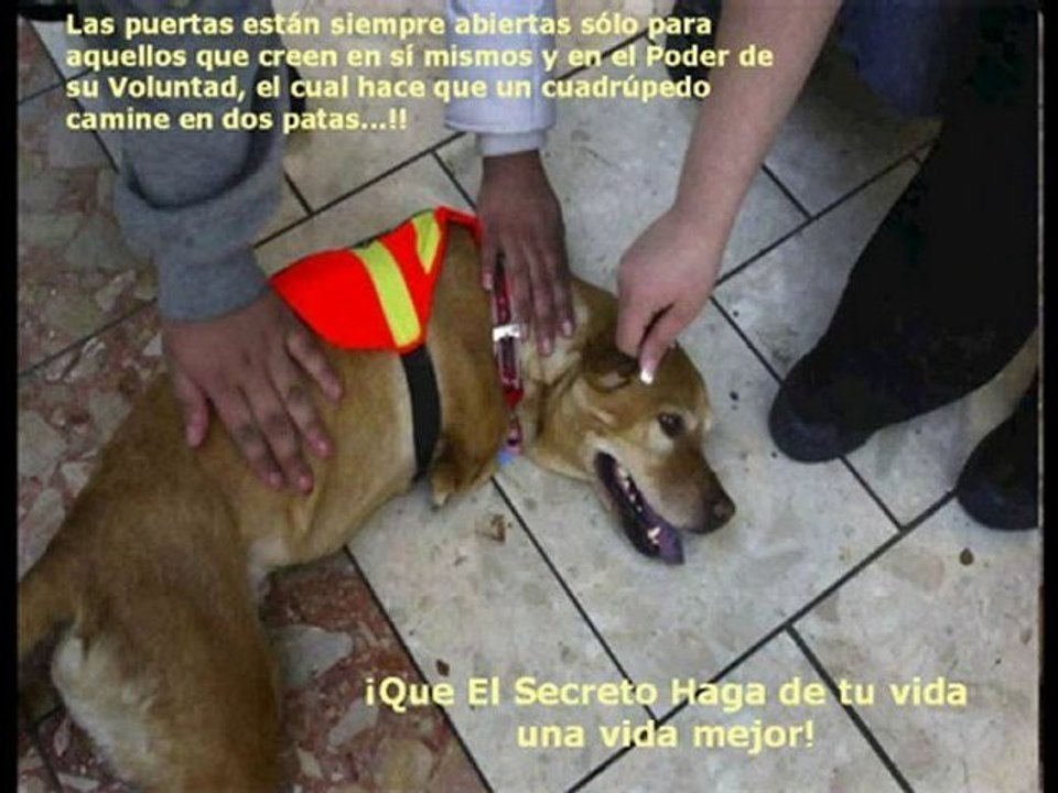 Video 66 EL SECRETO de La Ley de la Atraccion