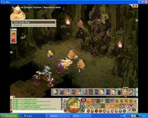 Dragon Cochon dofus 2.0