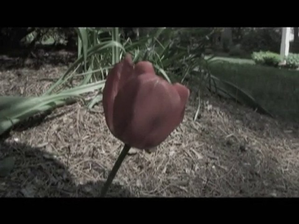 The Wastes Trailer (DVDs Now Available)