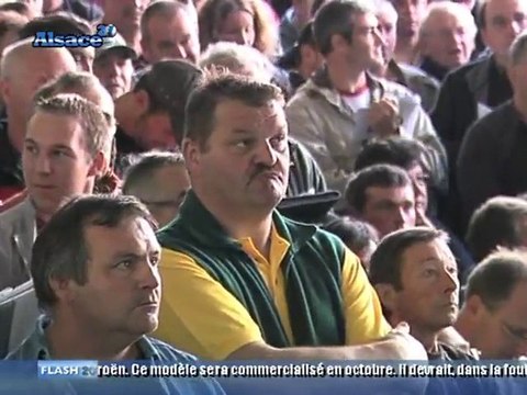 Vente aux enchères Dromson Alsace (1/2)