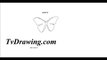 How To Draw A Simple Cartoon Butterfly Easy Step By Step Dra