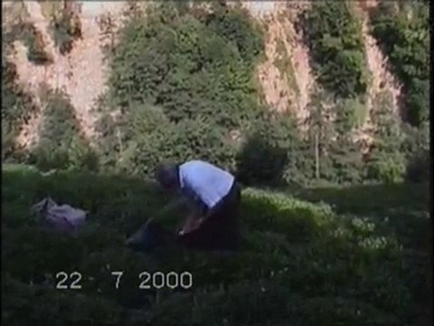 Erkan Oğur - Karşıda görünen heydost ne güzel Yayla