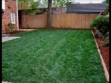 Instant Lawn Instant Turf Instant Grass Melbourne 1800466815