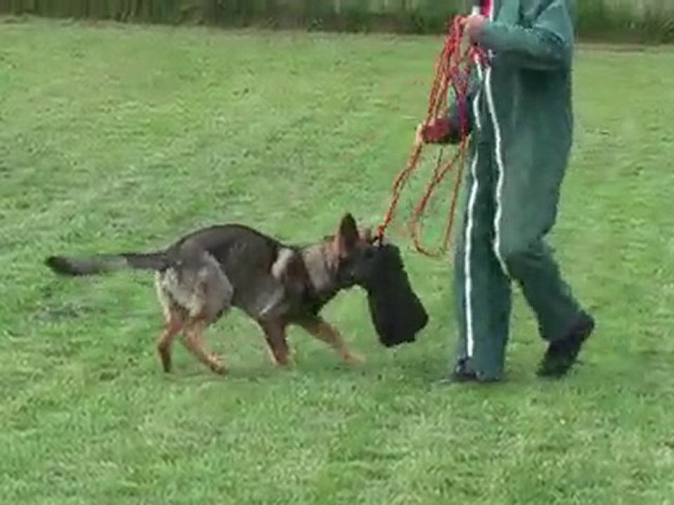 eik des collines du temps : défense avril 2010