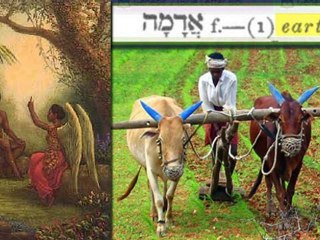 PT6  WHY GOD NAMED HIM ADAM: DESTROYING ESAU LIES!!!