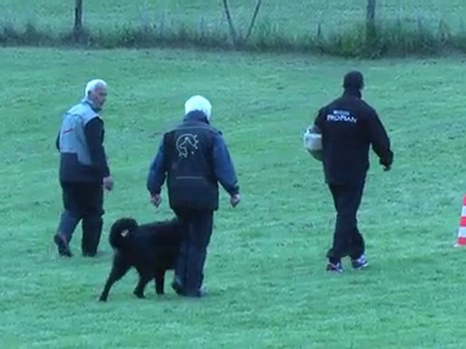 bawl  des orckis de l'adret : defense mai 2010