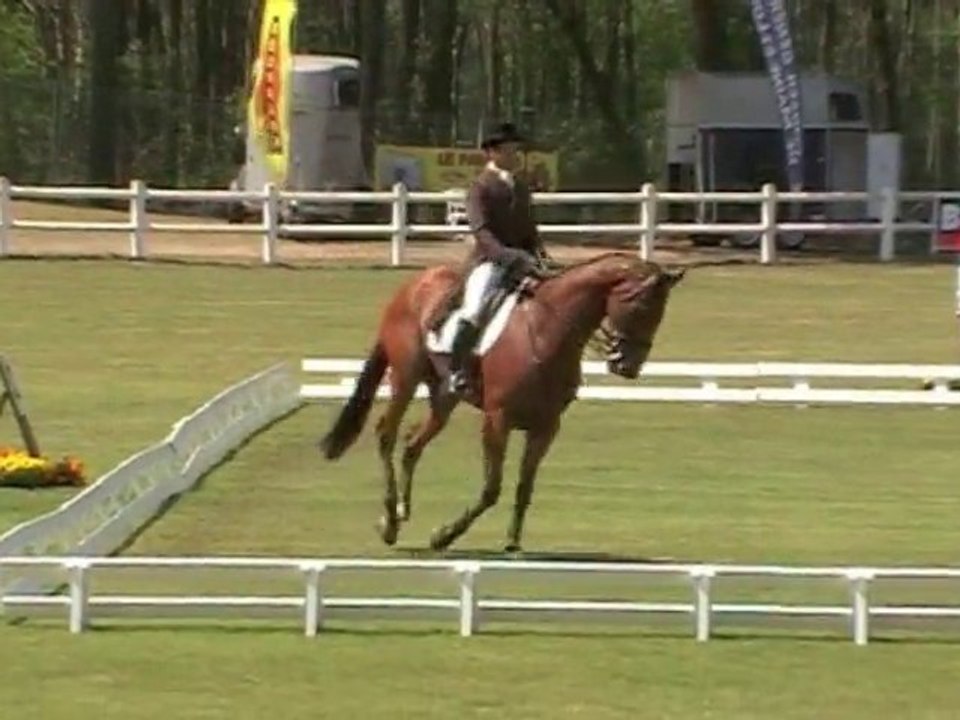 matelot du grand val - jean teulère dressage CCI Saumur
