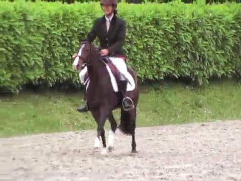 Top Secret Tilia 3 ans montés le Lion d'Angers 29 mai 2010