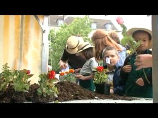 Marché aux fleurs et salon des antiquaires