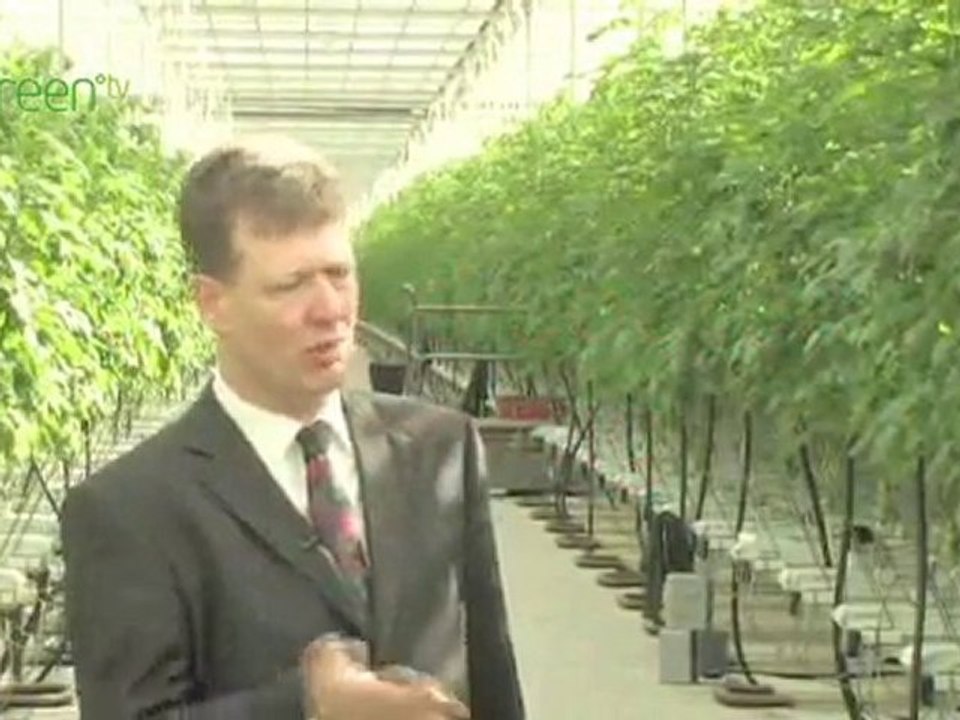 Renewable energy - Wind and Biomass