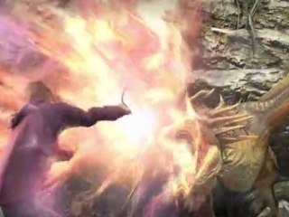 Harry Potter et les Reliques de la mort Part 1 Trailer