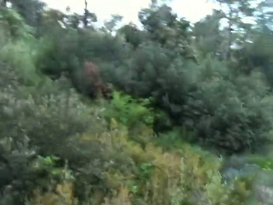 Mercredi