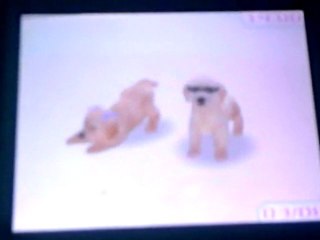 nintendogs demo