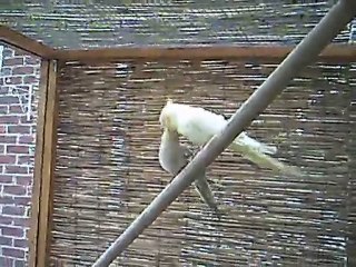 CANNELLE DONNE A MANGER A ZOE