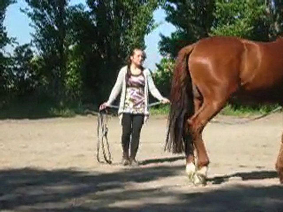 Désensibilisation à la carrière