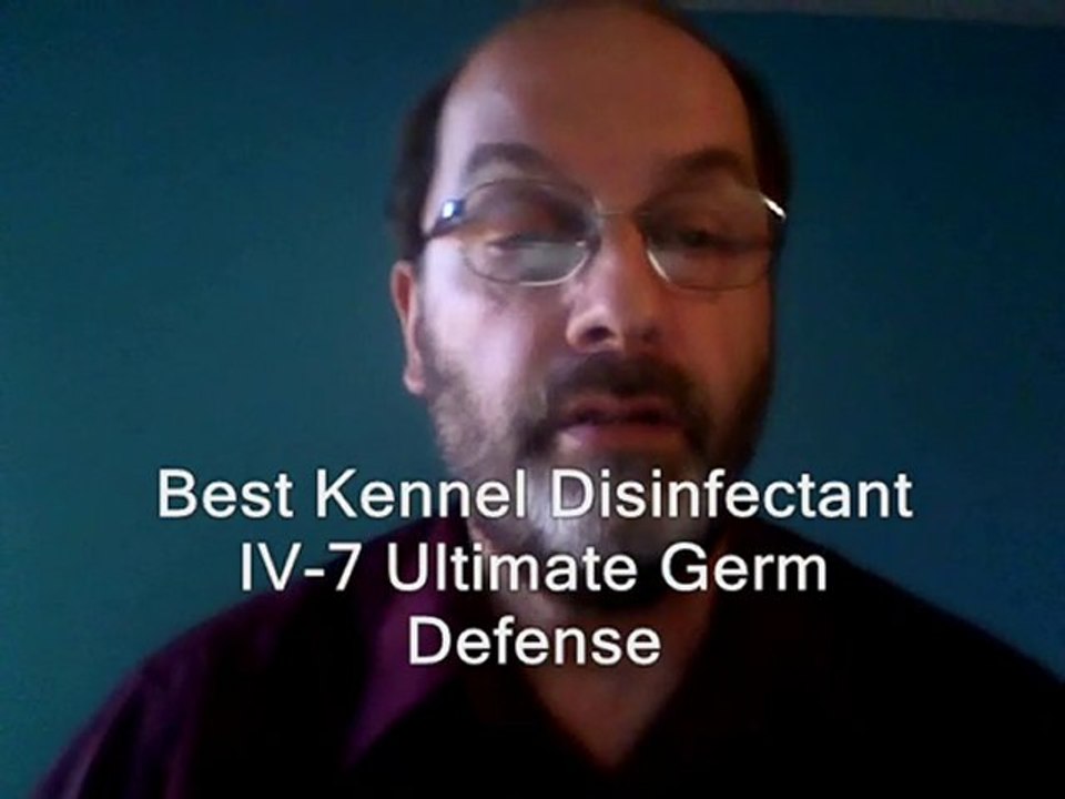 Best Kennel Disinfectant Is IV-7 Ultimate Germ Disinfectant