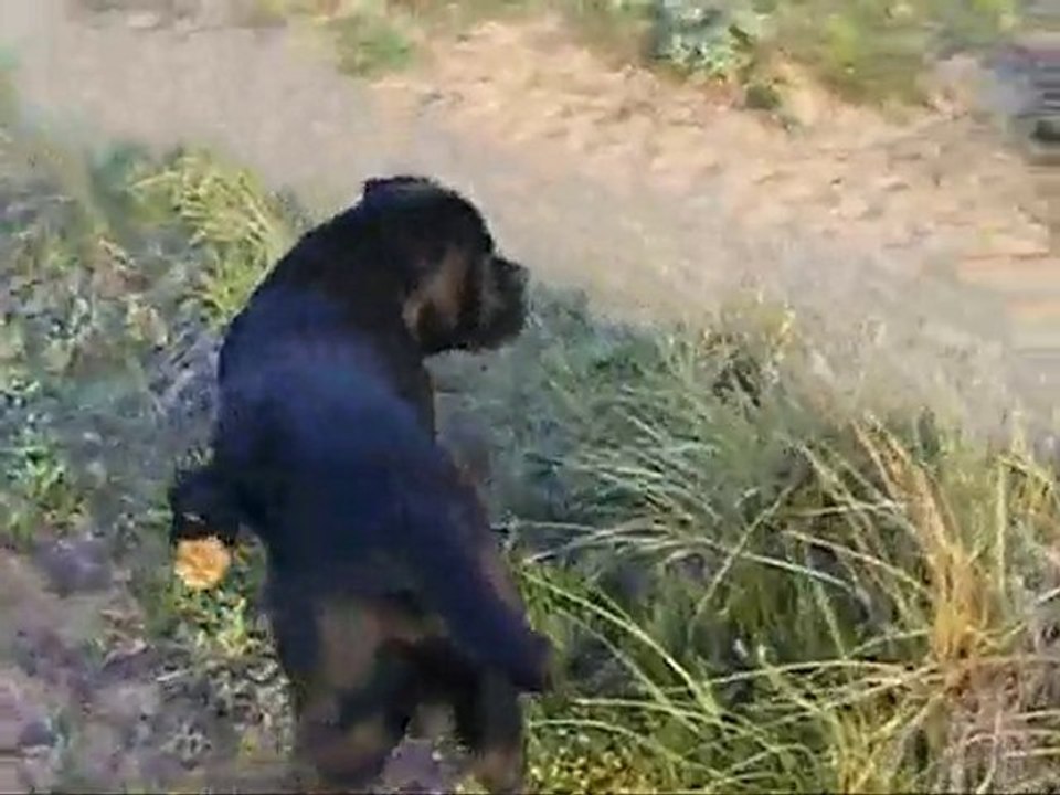 éole ballade du 03 06 2010