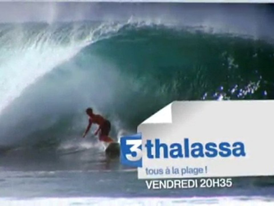 Thalassa : Tous à la plage !