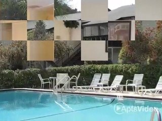 Brandon Oaks Apartments in Brandon, FL - ForRent.com