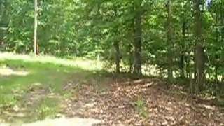 Land for Sale in Louisa, Land sale Louisa County