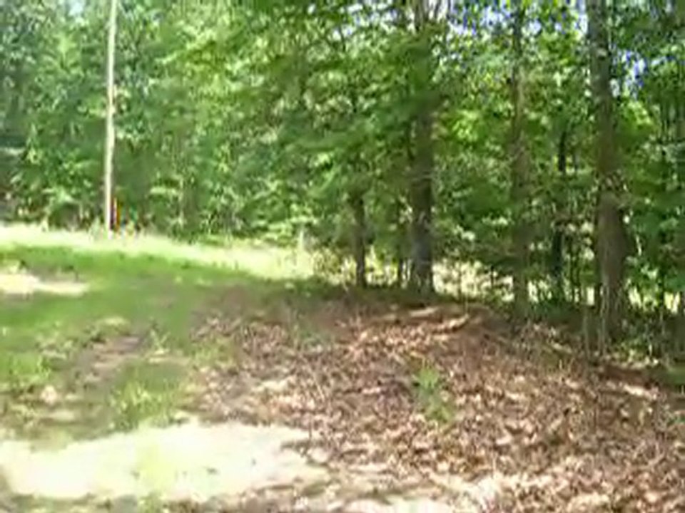 Land for Sale in Louisa, Land sale Louisa County