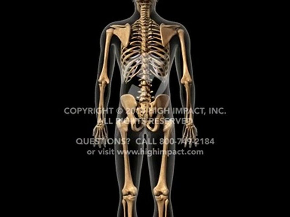 Normal Back Mechanics - video Dailymotion