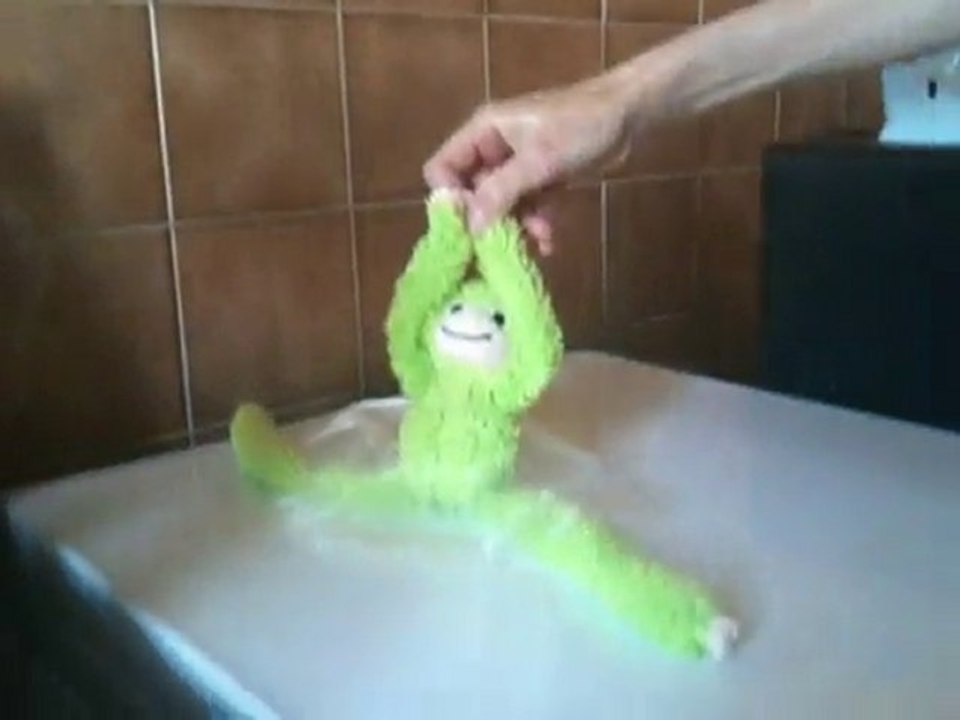 Singe danseur