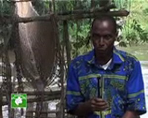Le Pont en Liane de Poubara (Franceville)
