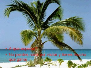 TENGA SU PROPIO NEGOCIO EN CUALQUIER PLAYA PARADISIACA