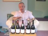 Simon Woods Wine Videos: Four Chilean Pinot Noirs