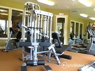 Antelope Ridge Apartments in Menifee, CA - ForRent.com