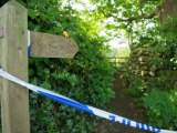 British gunman killed at least 12 in rampage: police