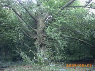 So Lange es Menschen gibt . " Die Sonnenkinder"